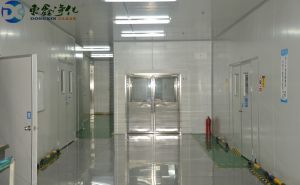潔凈無塵車間裝修建筑布局設(shè)計(jì)【東鑫凈化】